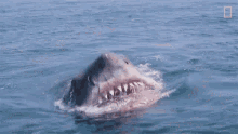 1754410535522.gif