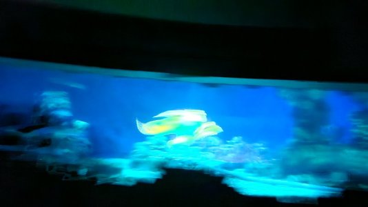 20250704_090113.jpg
