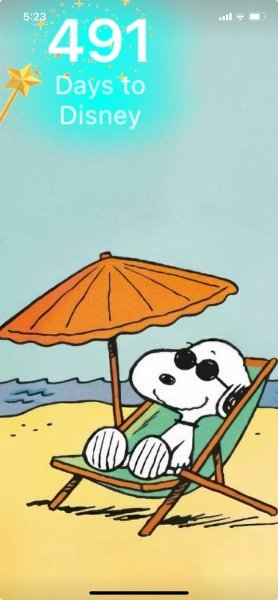 SNOOPY SUNBATH.jpeg