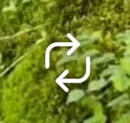 IMG_0550.jpeg