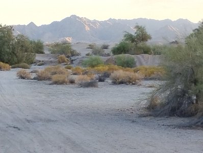 IMG_20250807_064137979_BURST001.jpg