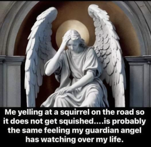 1754588296563.png