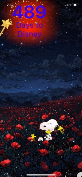 SW EVENING FIELD.jpeg