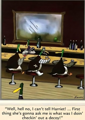 1754620287560-dp.png
