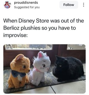 Screenshot_20250620-221157_Instagram.jpg
