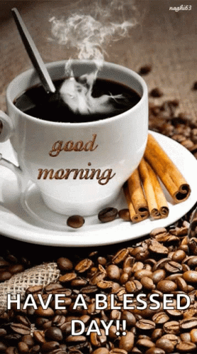 IMG_6111.gif