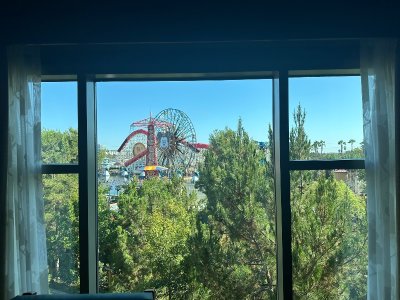 IMG_3620.jpeg
