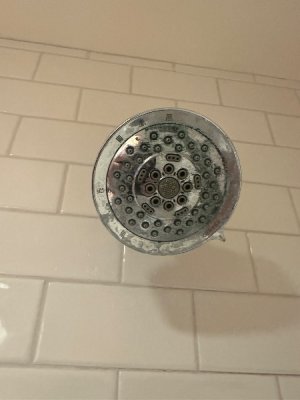 IMG_3627.jpeg
