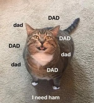 IMG_4810.jpeg