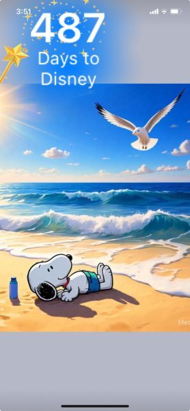 SNOOPY SEAGULL.jpeg