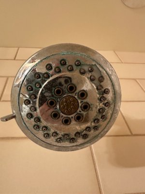 IMG_3683.jpeg