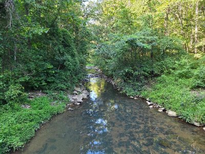 20250808_173319.jpg