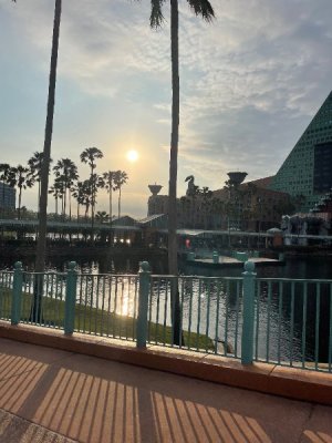 IMG_4478.jpeg