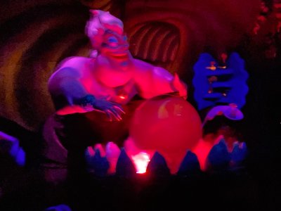 IMG_1051.jpeg