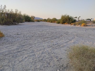 IMG_20250811_062513227.jpg