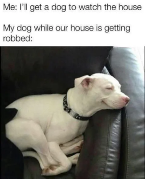 guard.png