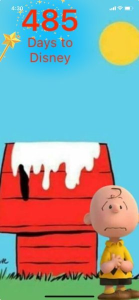 CB SNOOPY MELT.jpeg
