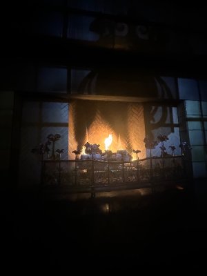 IMG_3730.jpeg