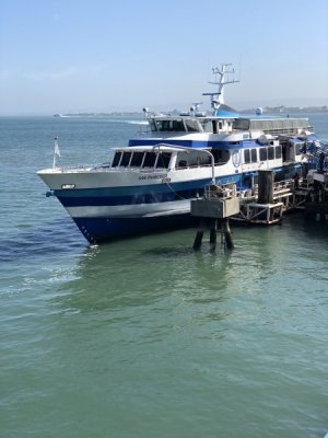 IMG_1983.jpeg