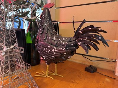 IMG_1682.jpeg