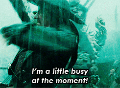 barbossa.gif