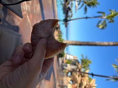 IMG_9929.jpeg