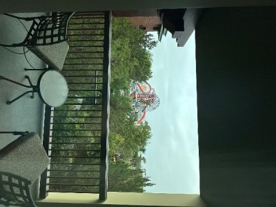 IMG_3788.jpeg