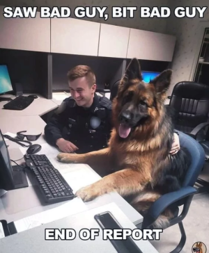 689dc7e2dca1c.png