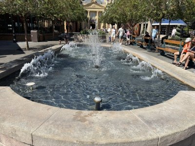 IMG_2364.jpeg
