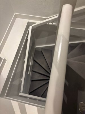 IMG_5485.jpeg