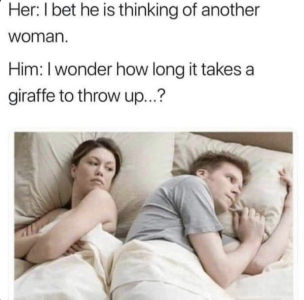 pcqg7an1xk4a.png