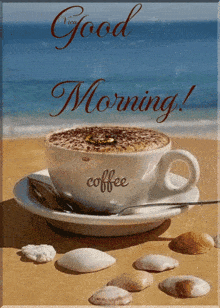IMG_6190.gif