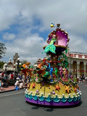 IMG_8870.jpeg
