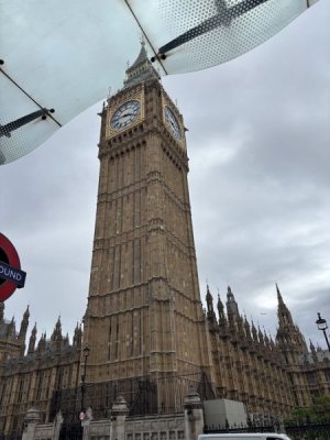 IMG_2464.jpeg