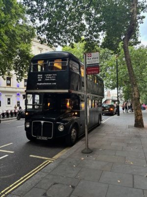 IMG_2478.jpeg