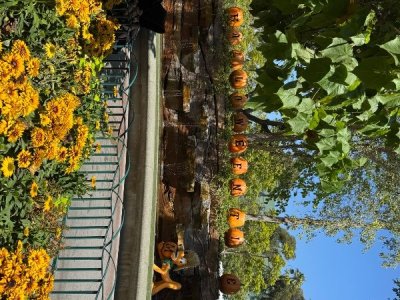 IMG_1709.jpeg