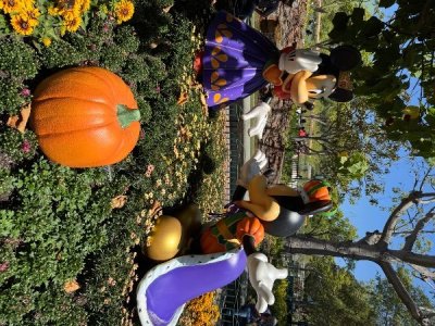 IMG_1712.jpeg