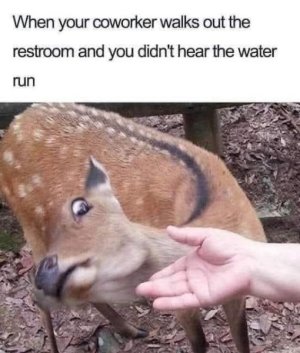 0xiznl5h3dwo.jpg