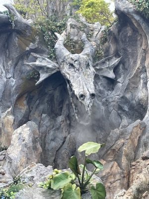 zIMG_9600.JPG