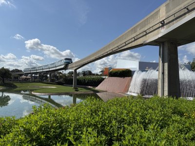 IMG_2360.jpeg