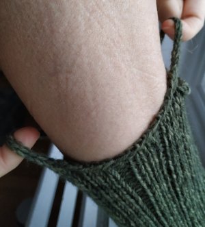 IMG_0984.jpeg