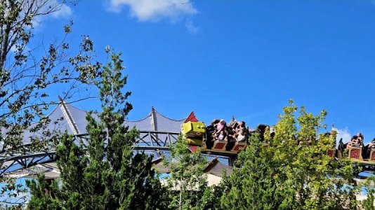20250816_171119(1).jpg