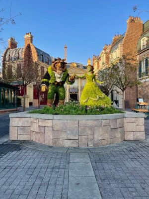 IMG_4568 (1).jpeg