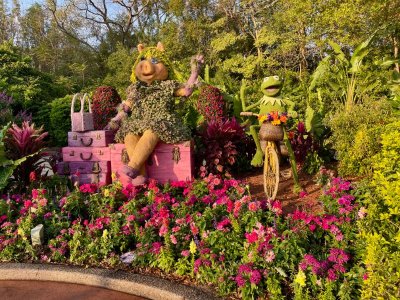 IMG_4577.jpeg