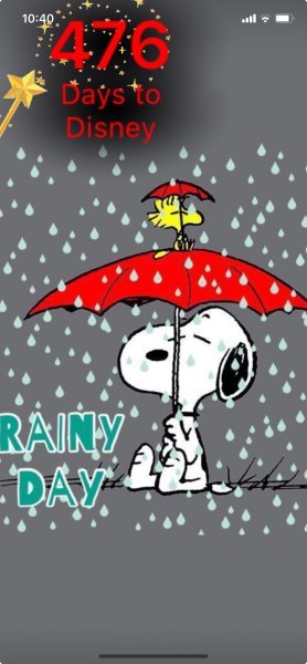 SW RAINY DAY AUGUST.jpeg