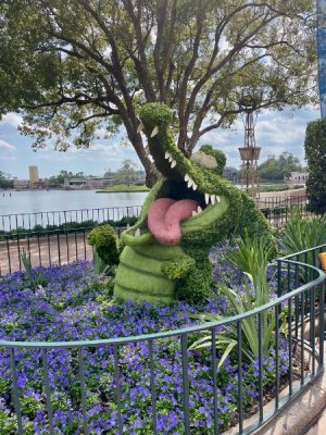 IMG_4748.jpeg