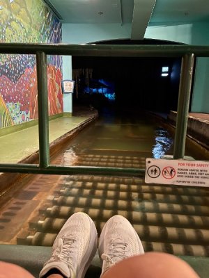 IMG_4779.jpeg