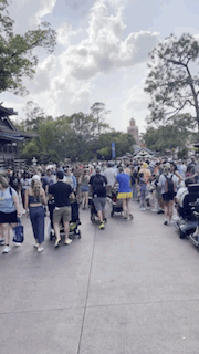 1755717058585.gif