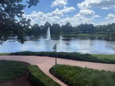 IMG_6081.jpeg