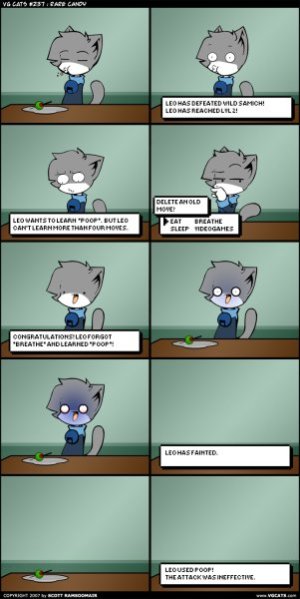VGCats - Pokémon.jpg